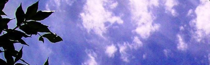 The sky with clouds