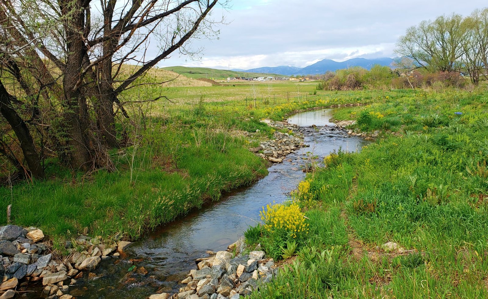 a calm creek cutting through green grassy open space.