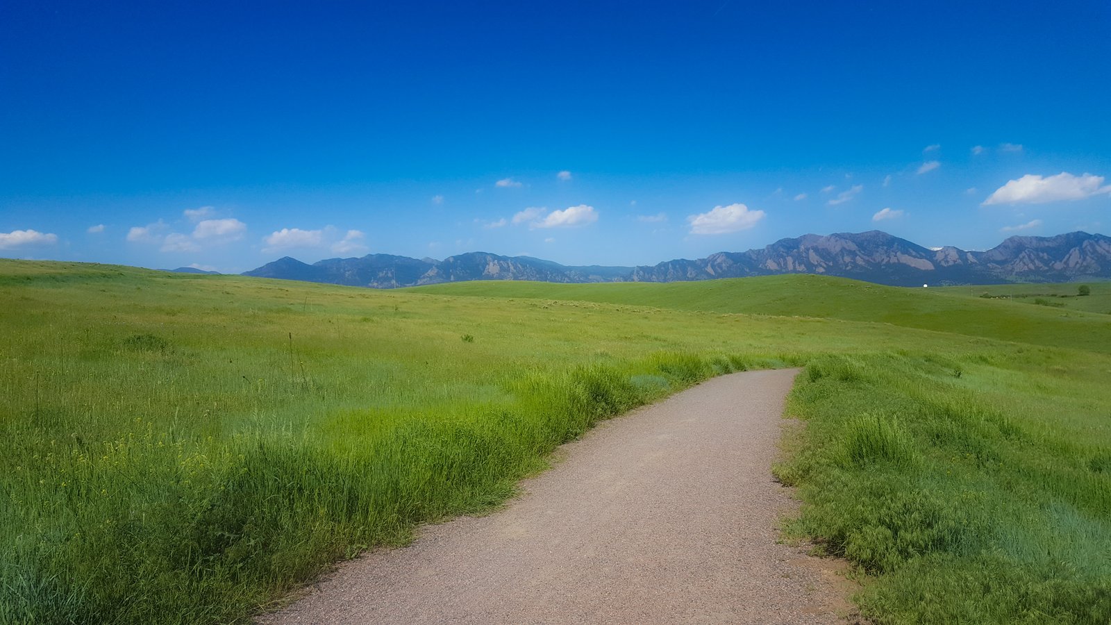 a gravel path cutting through green grassy open space on a clear, sunny day.