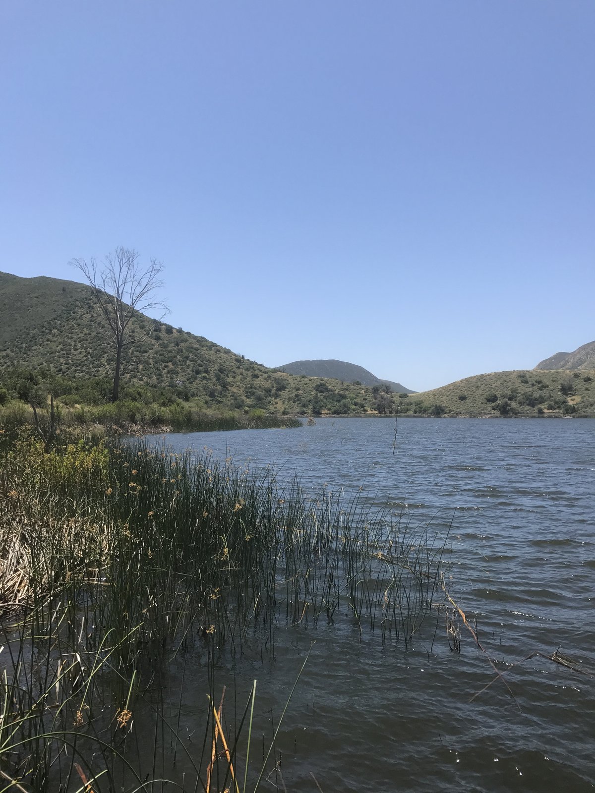 By the water at San Vicente Reservoir
