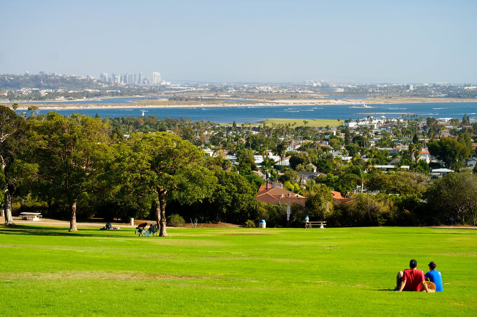 Overlooking San Diego at Kate Sessions Park