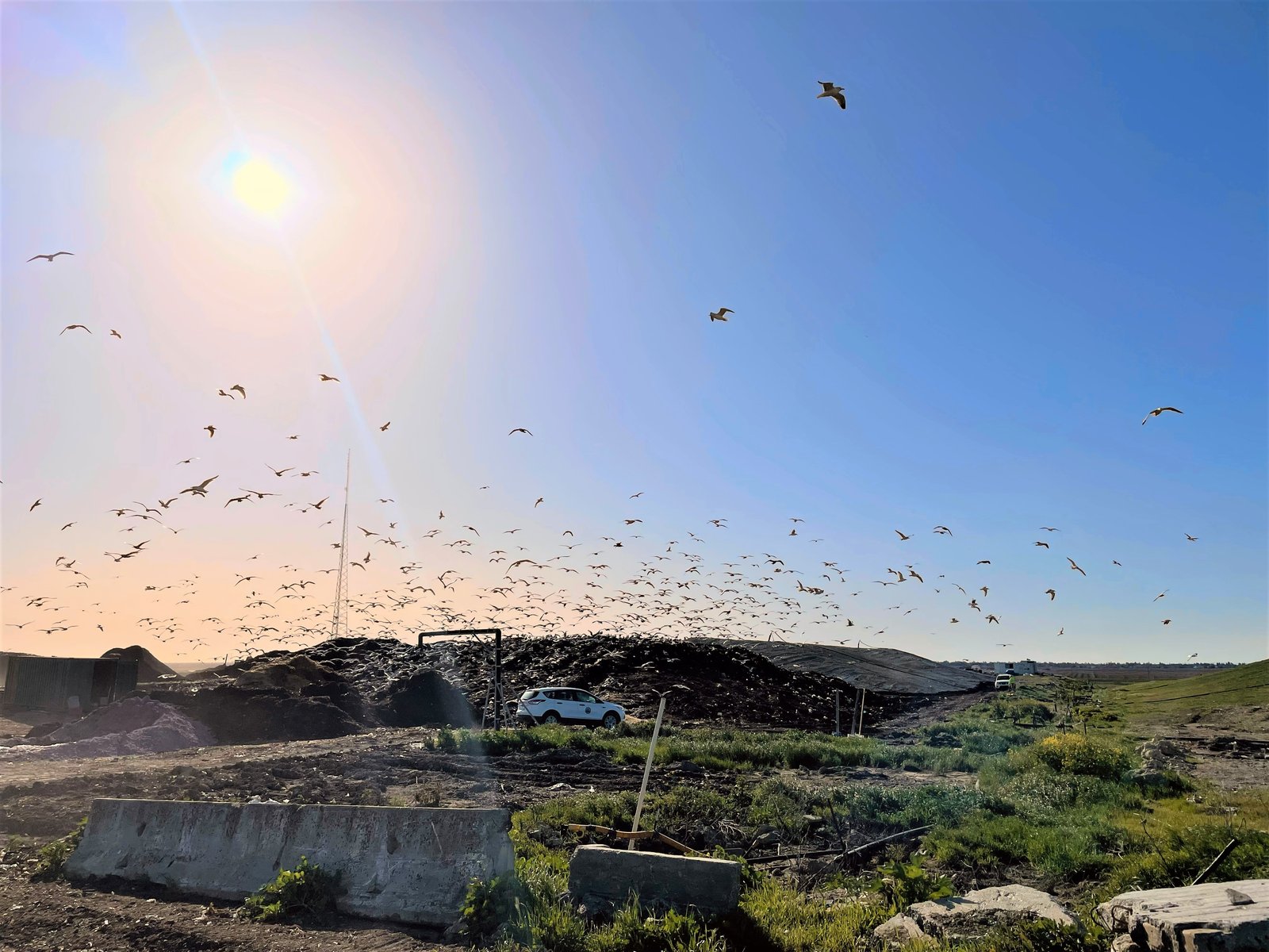Central landfill